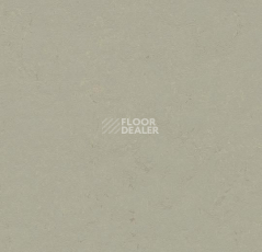 Кварцвиниловые полы Forbo Marmoleum Click 333724-633724 orbit фото 1 | FLOORDEALER